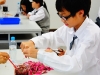 自然課~自製酸鹼指示劑