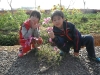 DSCF1683