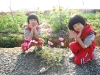 DSCF1684