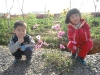 DSCF1685