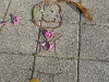 DSCF1721