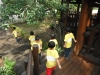 DSCF0981