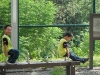 DSCF1034