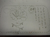 DSCF1181