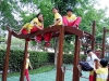 IMG_20150425_173504