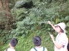 DSCF3341