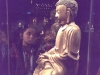 IMAG0666