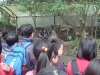 PhotoCap_001
