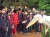 PhotoCap_003