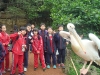 PhotoCap_005