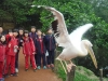 PhotoCap_006