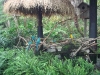 PhotoCap_010