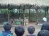 PhotoCap_011