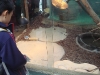 PhotoCap_015