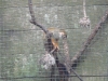 PhotoCap_017