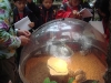 PhotoCap_022