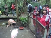PhotoCap_024
