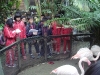 PhotoCap_025