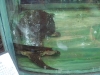 PhotoCap_026