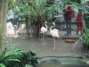 PhotoCap_027