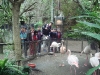 PhotoCap_028