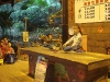 PhotoCap_040