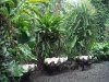 PhotoCap_043