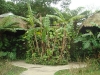 PhotoCap_044