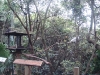 PhotoCap_056