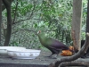 PhotoCap_059