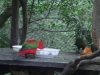 PhotoCap_061