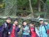 PhotoCap_070