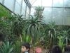 PhotoCap_073