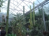 PhotoCap_075