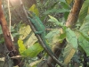 PhotoCap_076