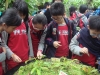 PhotoCap_082
