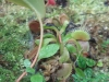 PhotoCap_083