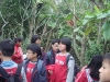 PhotoCap_095