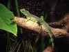 PhotoCap_099