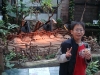 PhotoCap_100