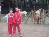 PhotoCap_101