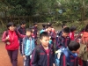 PhotoCap_115