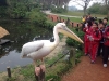 PhotoCap_118