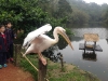PhotoCap_119
