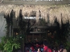 PhotoCap_134