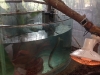 PhotoCap_136