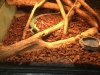 PhotoCap_138