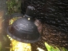PhotoCap_140