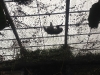 PhotoCap_142