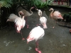 PhotoCap_151